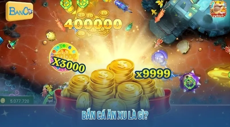 ban-ca-an-xu-la-gi