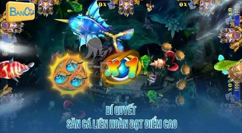 bi-quyet-san-ca-lien-hoan-dat-diem-cao