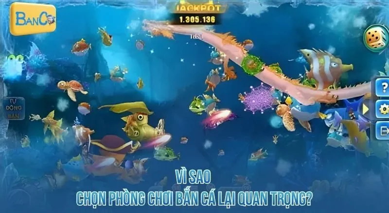 vi-sao-chon-phong-choi-ban-ca-lai-quan-trong