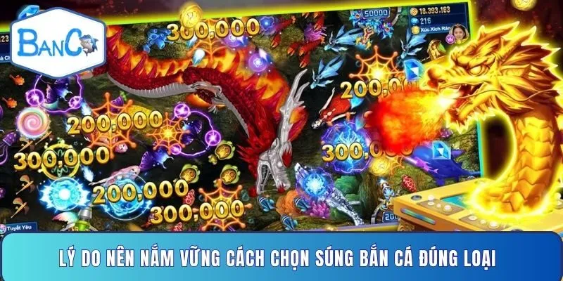 ly-do-nen-nam-vung-cach-chon-sung-ban-ca-dung-loai