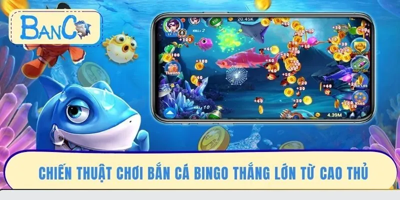 chien-thuat-choi-ban-ca-bingo-thang-lon-tu-cao-thu