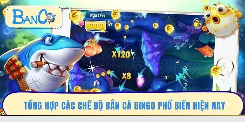 tong-hop-cac-che-do-ban-ca-bingo-pho-bien-hien-nay
