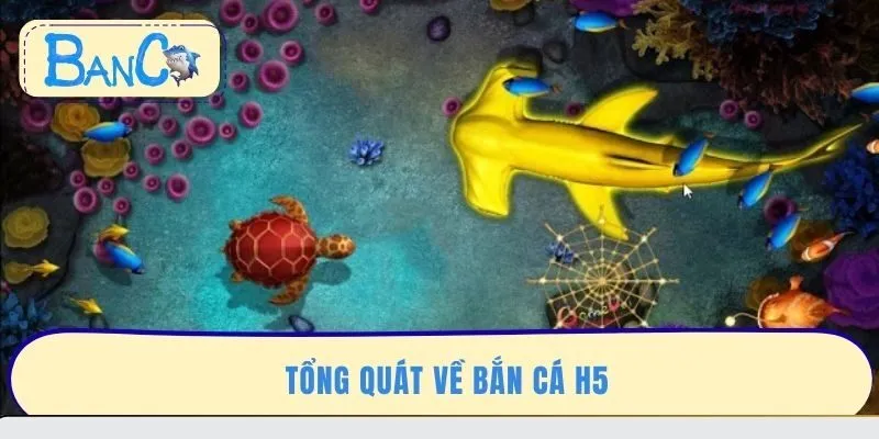 tong-quat-ve-ban-ca-h5